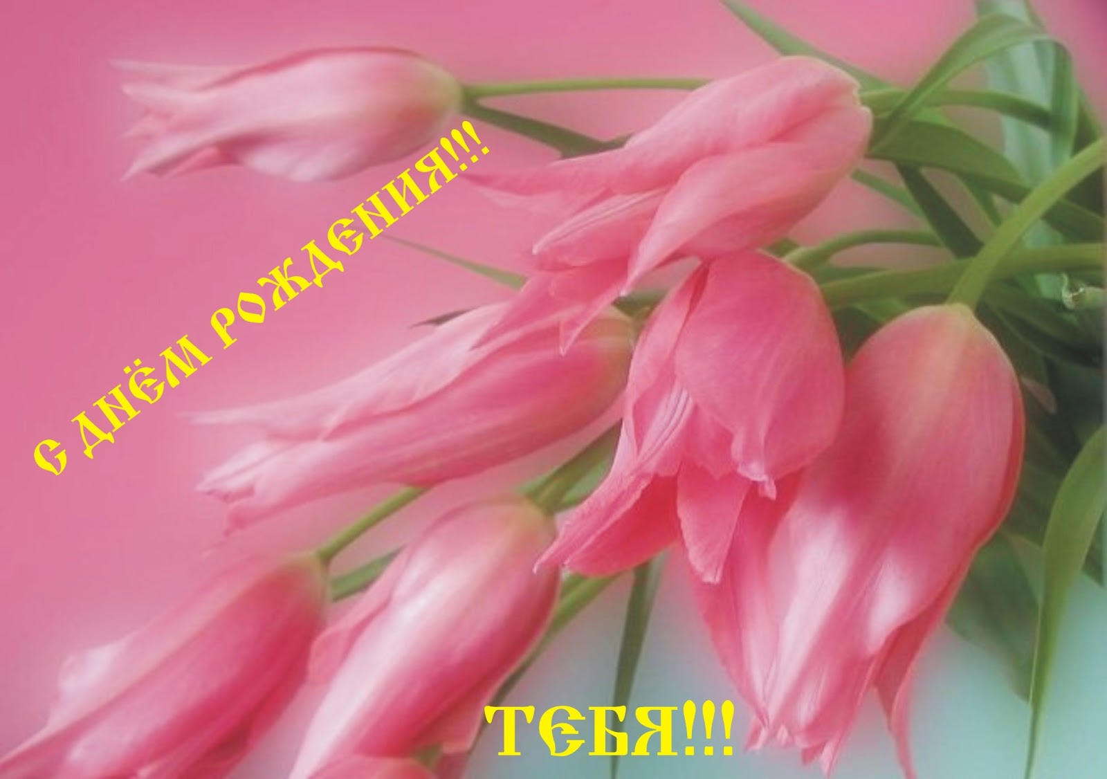 красивые фото открытки красивые фото открытки